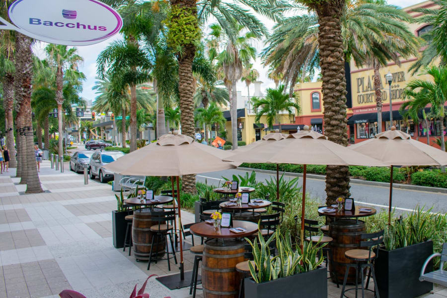 Bacchus Wine Bistro – photo 1